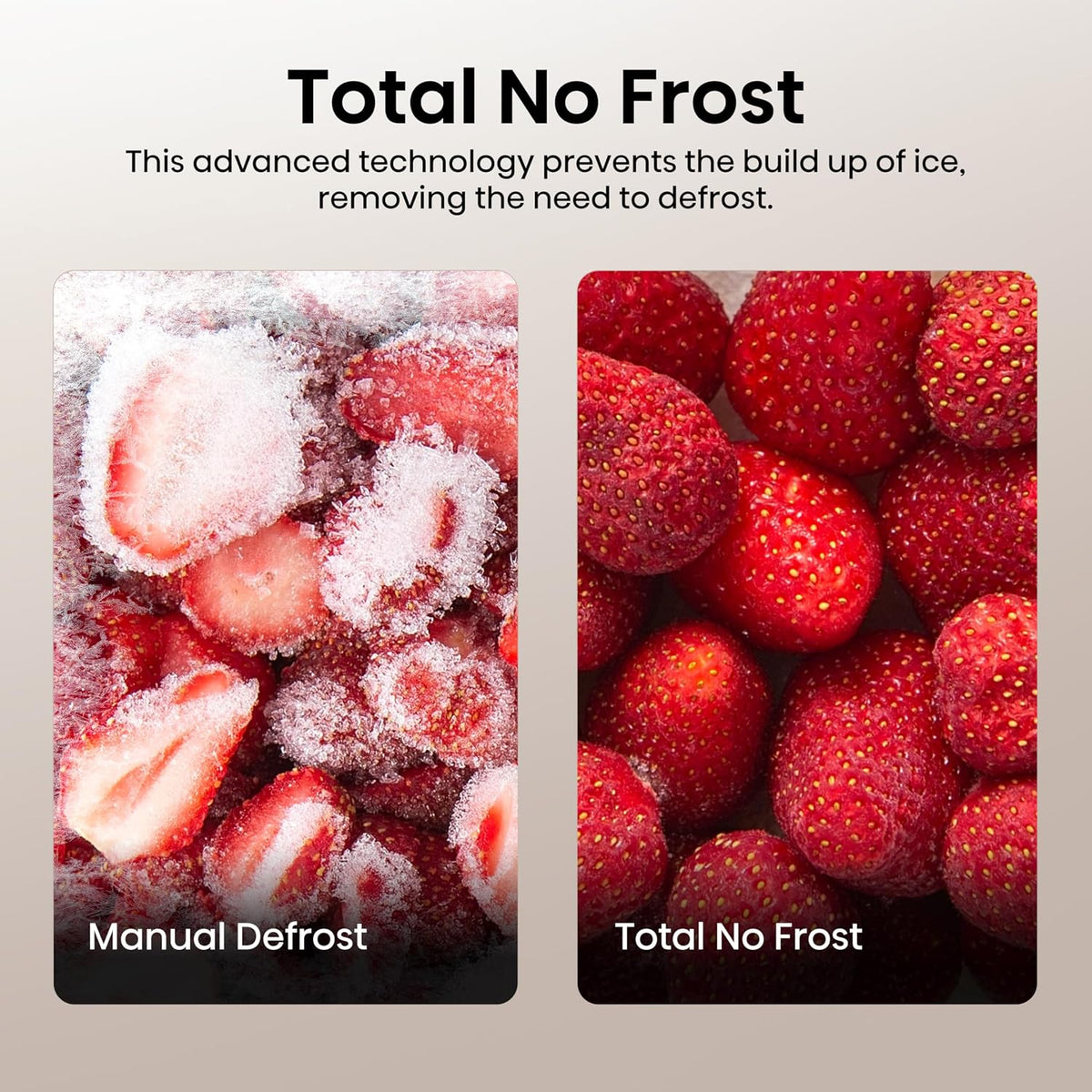 Freestanding Fridge Freezer 256L Frost Free White — image 5
