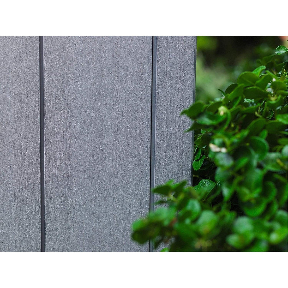 Keter 11x 7 Artisan Heavy Duty Plastic Pent Shed – Grey — image 3